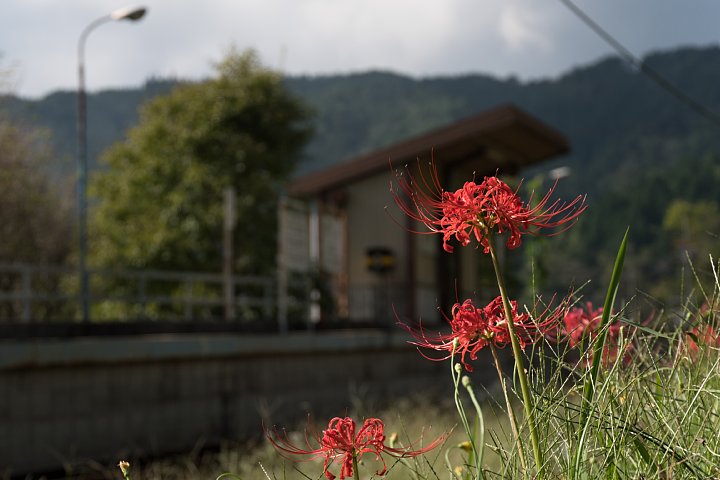 d0353489_2154466.jpg