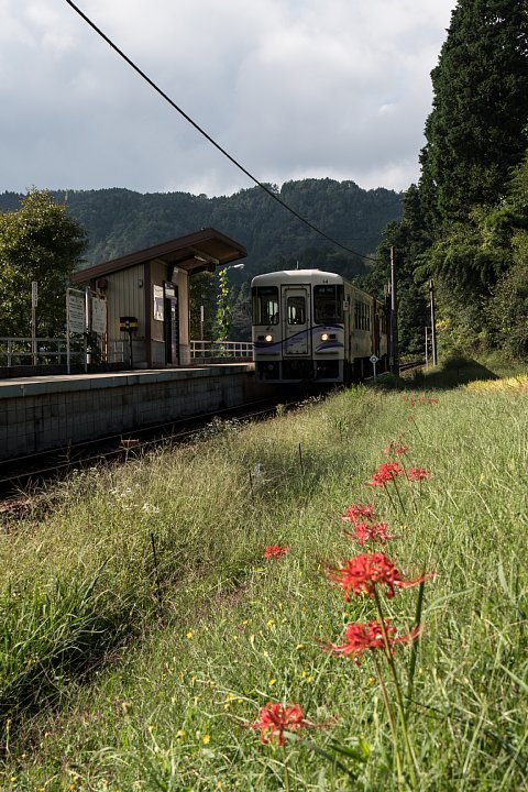 d0353489_2272741.jpg