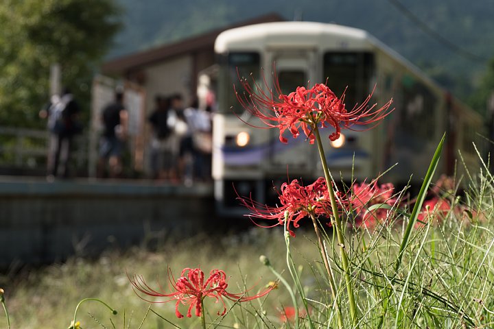 d0353489_228018.jpg