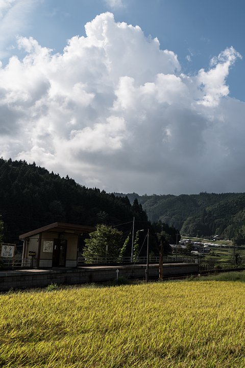 d0353489_2294854.jpg