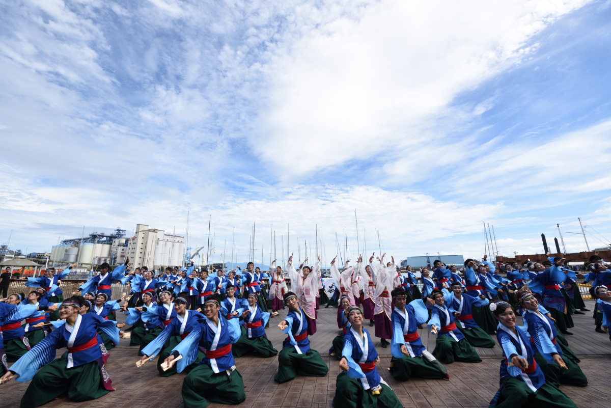 茶ノ国祭り『静岡大学よさこいサークル　お茶ノ子祭々』_f0184198_18342785.jpg