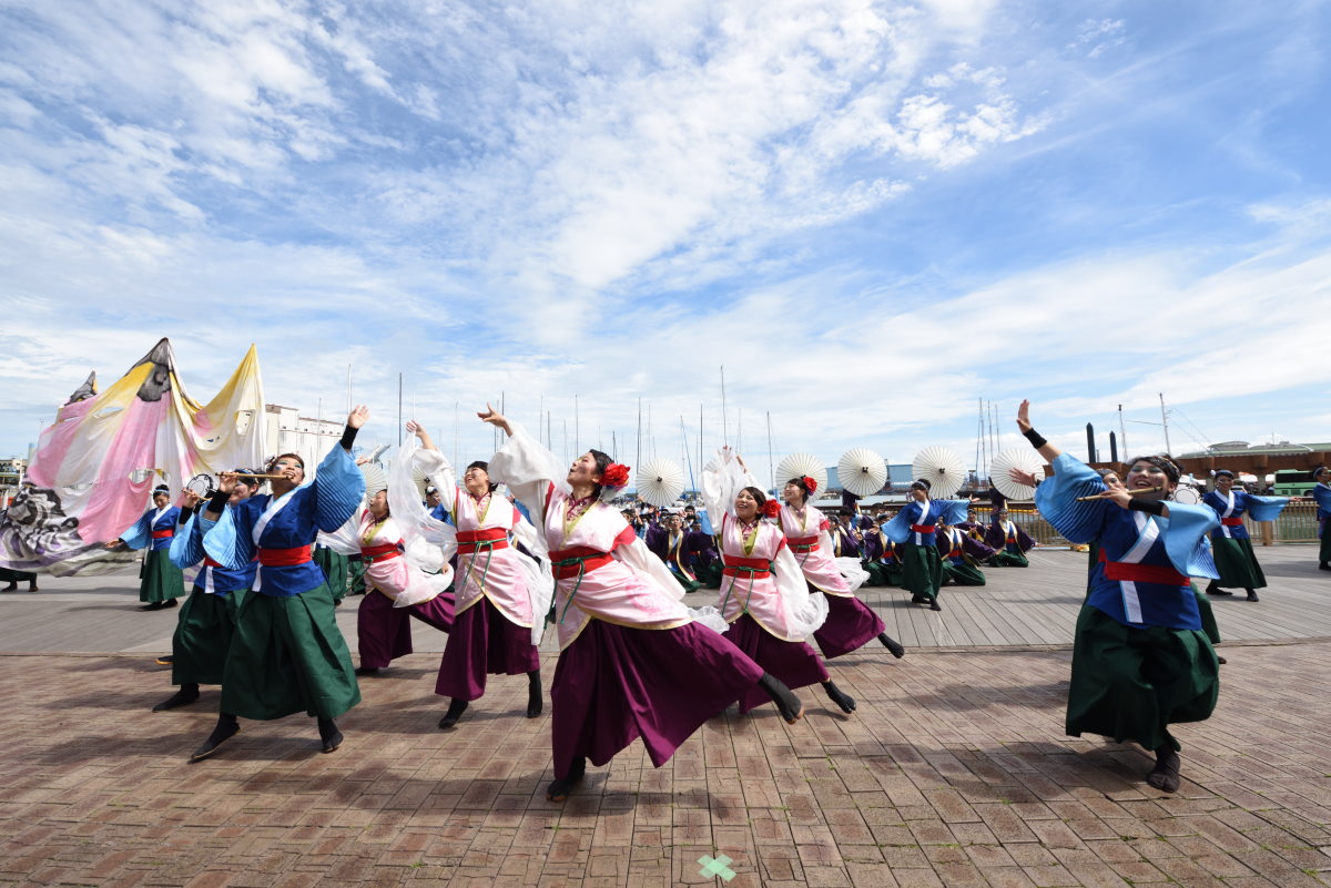 茶ノ国祭り『静岡大学よさこいサークル　お茶ノ子祭々』_f0184198_183522100.jpg