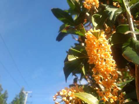 9月30日_c0140599_14212114.jpg