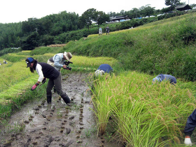 稲倉（いなぐら）の棚田（上田市殿城）_e0269400_20070269.jpg