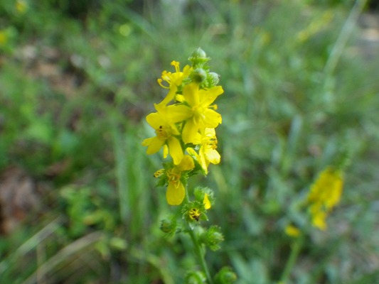 f0187402_21102054.jpg