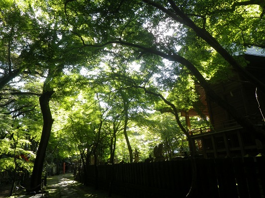 f0187402_21104872.jpg