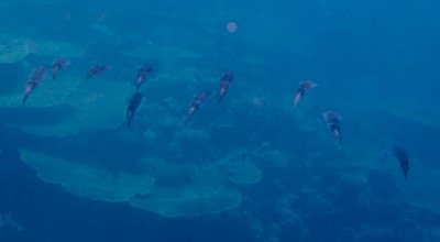 e0338303_12173864.jpg