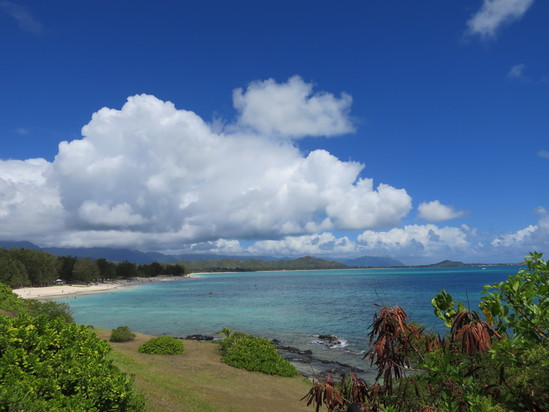 c0180009_11334291.jpg