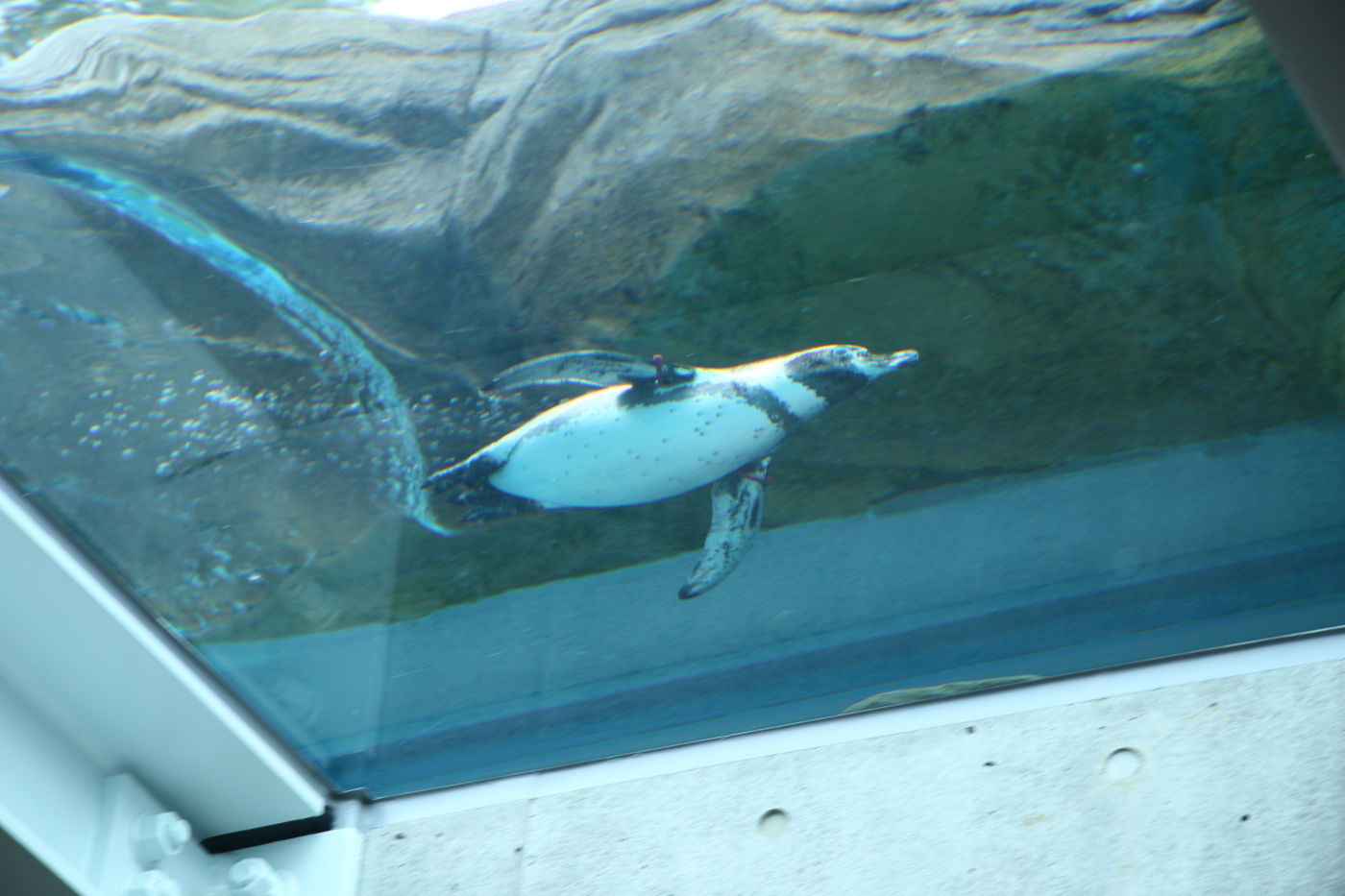 f0349409_13582083.jpg
