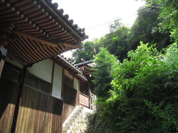 d0287413_1634577.jpg