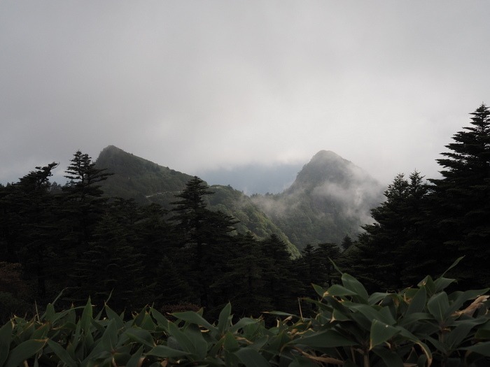 東黒森山－瓶ヶ森－自念子ノ頭登山　その２（瓶ケ森）_c0116915_0353115.jpg