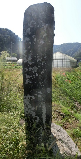 b0181818_08301375.jpg