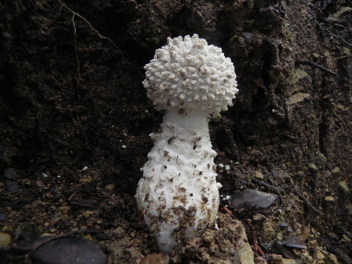 e0352220_10380550.jpg