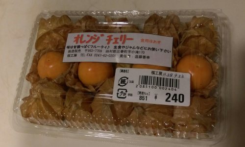 d0255522_15495659.jpeg