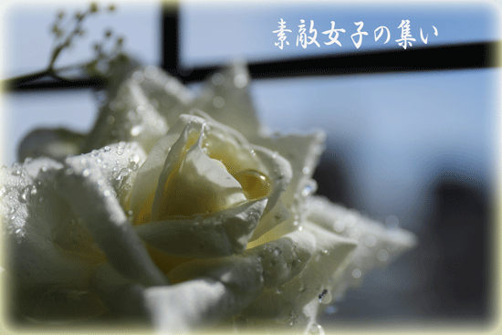 a0245136_15425405.gif