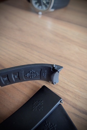 tropical composite straps_f0057849_1302034.jpg