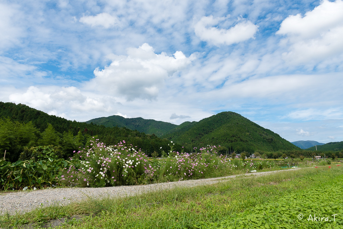 f0152550_22014543.jpg