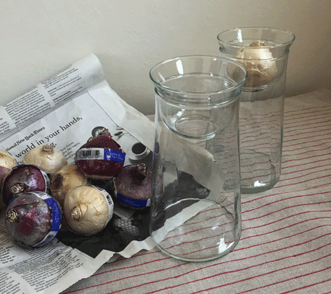 a0123451_23364060.gif