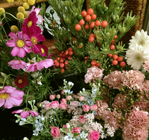 a0123451_23382341.gif