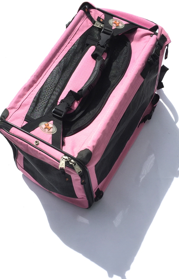 CREATURE LEISURE CARRY DEN クリーチャー レジャー キャリーデン _d0217958_11282614.jpg