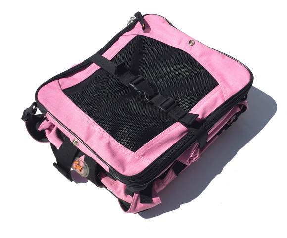 CREATURE LEISURE CARRY DEN クリーチャー レジャー キャリーデン _d0217958_12204389.jpg