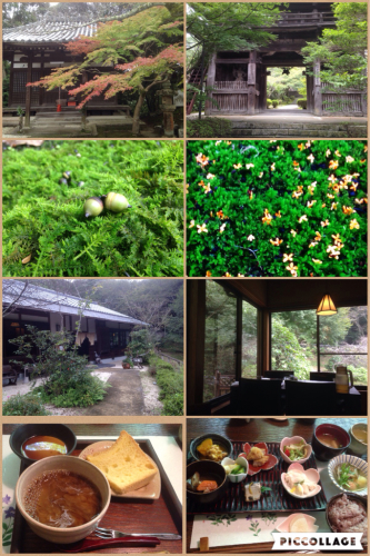苔に癒されて。。_e0136066_21064538.jpg