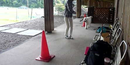e0161972_14161476.png