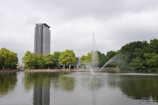 新緑（公園）_f0377573_14074762.jpg