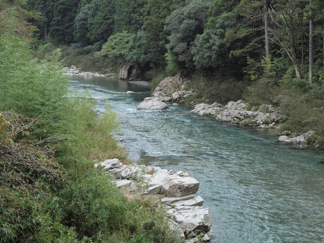 『板取川周辺と近くの園芸店を散策・・・』_d0054276_20265332.jpg