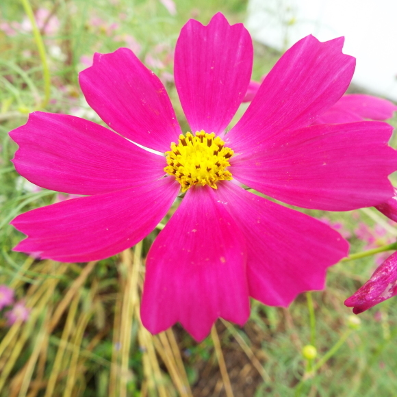 c0329378_09251521.jpg