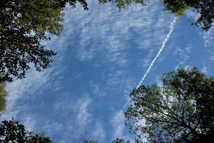 b0339488_22495650.jpg