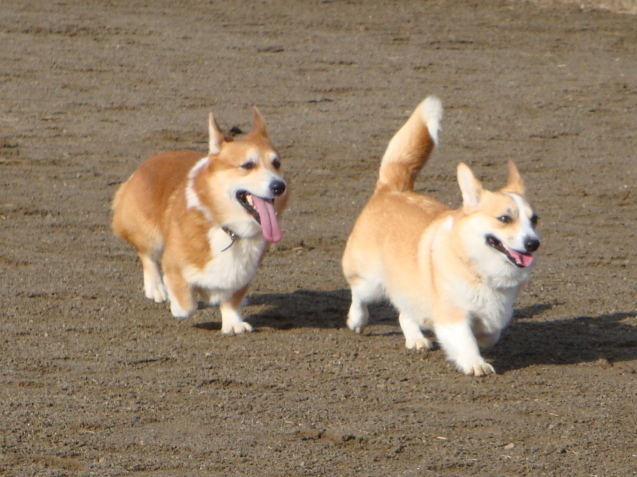 f0075595_00040086.jpg