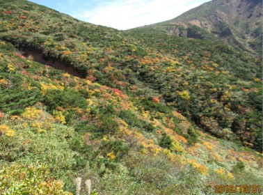 c0151898_20202966.jpg
