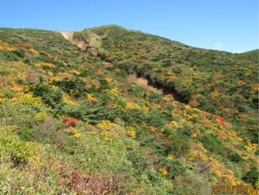 c0151898_20204547.jpg