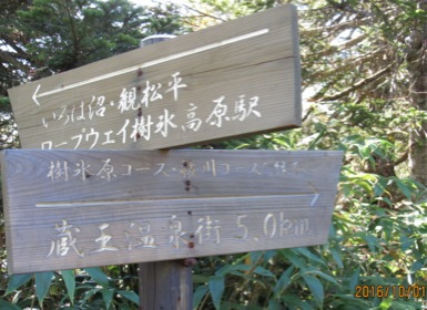 c0151898_2020563.jpg