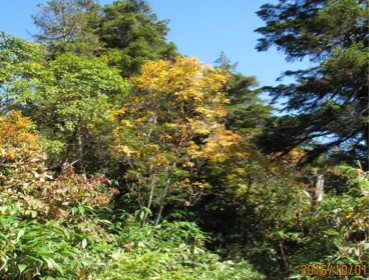 c0151898_20205840.jpg