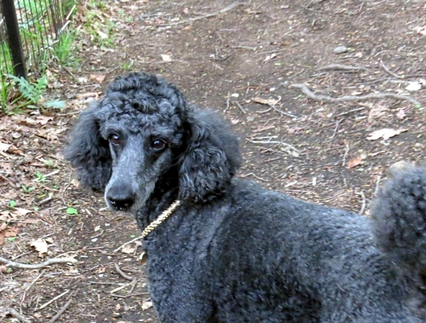 f0033598_22043956.jpg