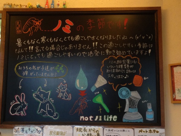 もう秋祭り_d0178999_17421993.jpg