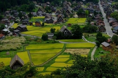e0304001_08083114.jpg