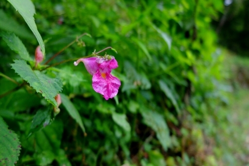 e0304001_08083392.jpg
