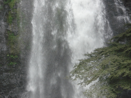 e0353802_14323596.jpg