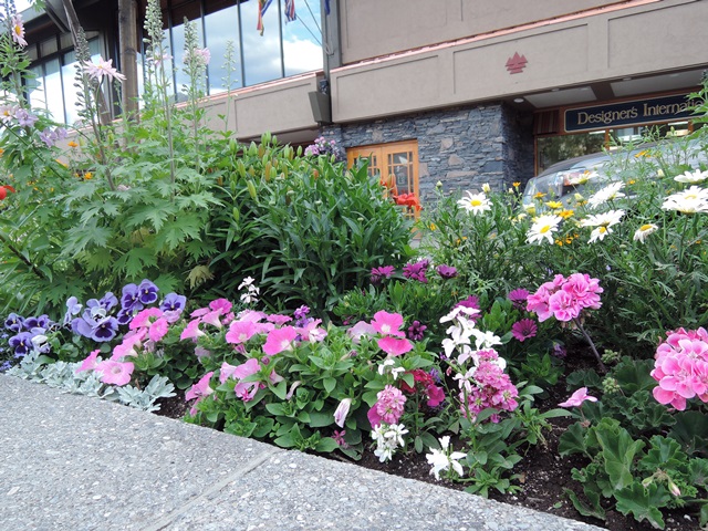 f0373905_13572866.jpg
