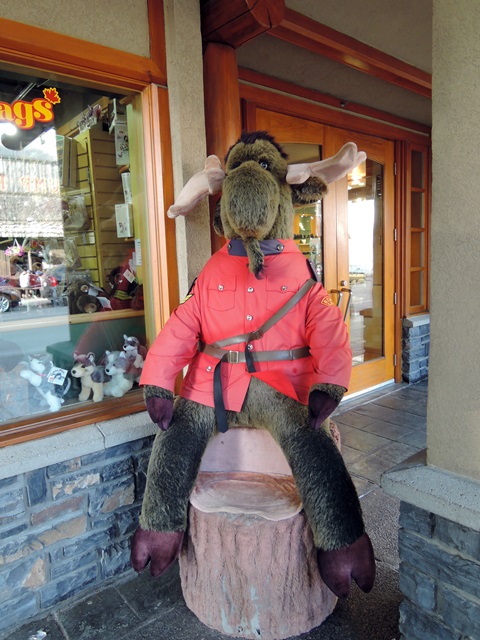 f0373905_1358655.jpg