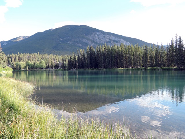 f0373905_1403526.jpg