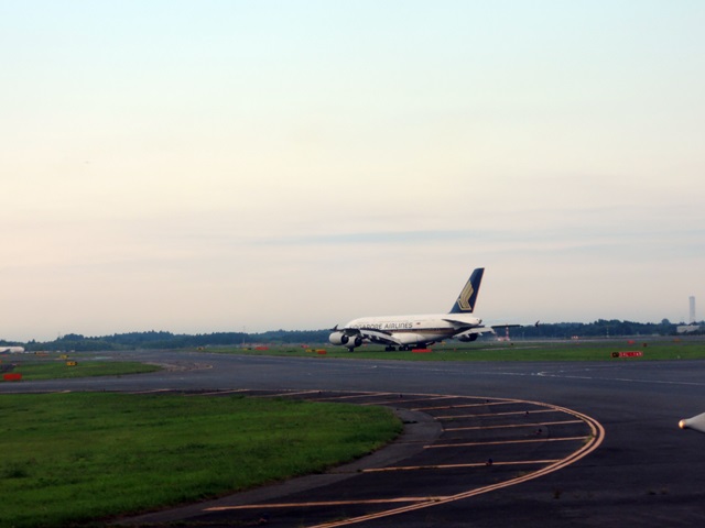 f0373905_1442486.jpg