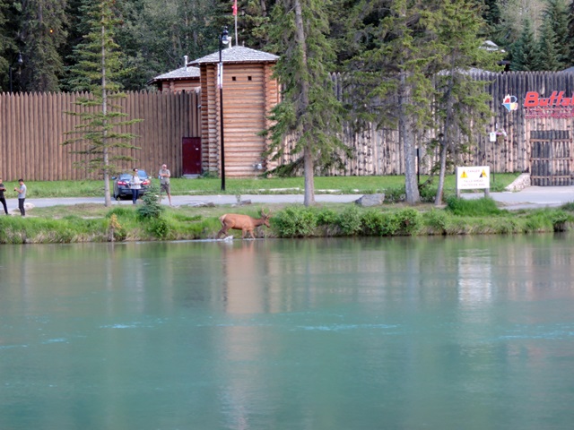 f0373905_1453542.jpg