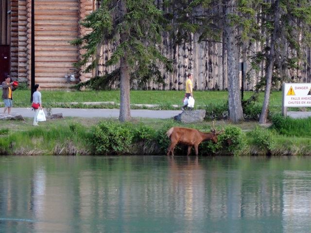 f0373905_1454825.jpg