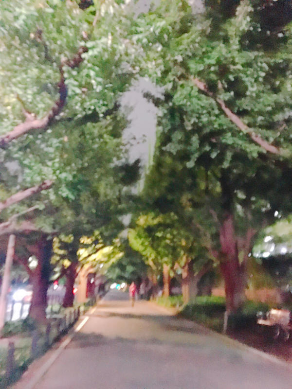 d0021510_00291455.jpg