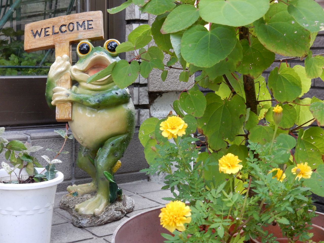 朝日も寝坊になってきた_c0025115_21155590.jpg