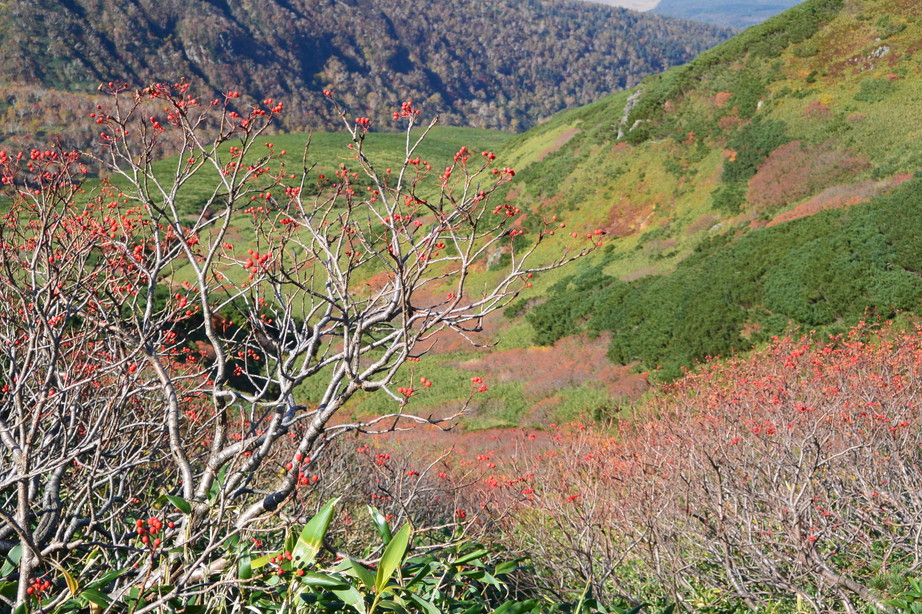 2016年10月 『赤の季節』 October 2016 \"The Season of the Red\"_c0219616_1605341.jpg